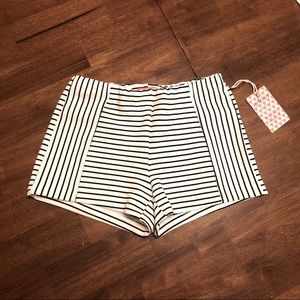 Adorable striped shorts by CAVALINI. NWT!